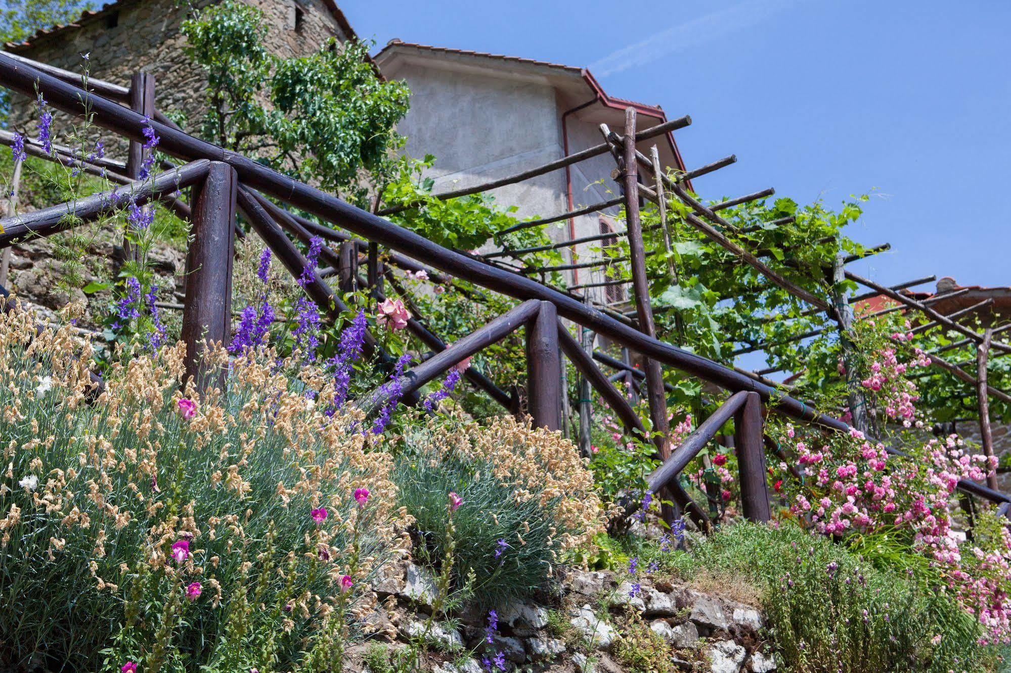 Reggiolo Borgo Dei Corsi Holiday House מראה חיצוני תמונה